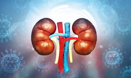 Photo for Kidney with virus. scientific background. kidney infection. 3d illustration - Royalty Free Image