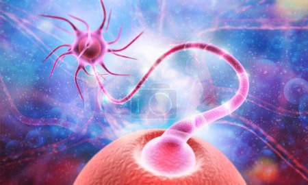 Téléchargez les photos : Cellules neuronales envoyant des signaux chimiques électriques. Illustration 3d - en image libre de droit