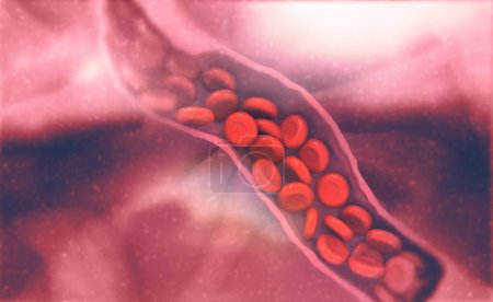 Foto de Células sanguíneas en vena. Formación médica. ilustración 3d - Imagen libre de derechos