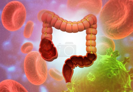 Photo for Large intestine anatomy on science background. 3d render - Royalty Free Image