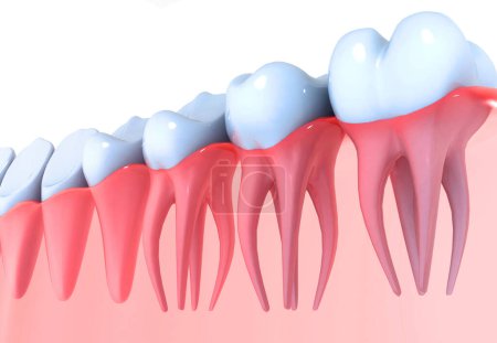 Foto de Anatomía dental. 3d renderizar - Imagen libre de derechos