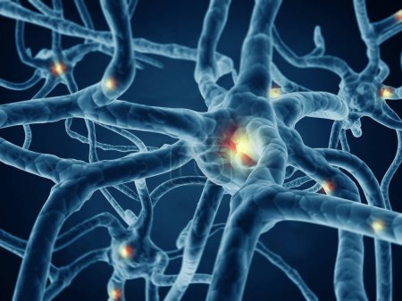 Foto de Red neuronal en el cerebro. sistema nervioso, neuronas. 3d renderizar - Imagen libre de derechos