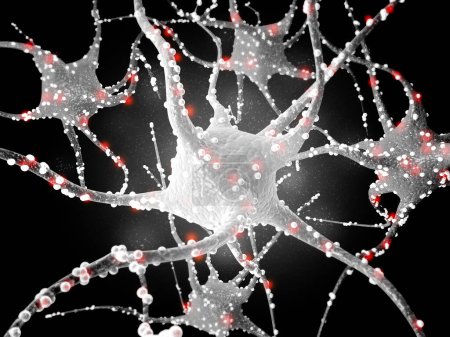Téléchargez les photos : Réseau neuronal dans le cerveau. système nerveux, neurones. 3d rendu - en image libre de droit