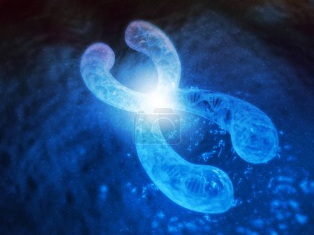 Téléchargez les photos : Chromosomes avec ADN, chromosomes X, concept génétique. 3d rendu - en image libre de droit