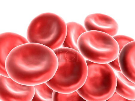 Photo for Red blood cells on white background. 3d render - Royalty Free Image