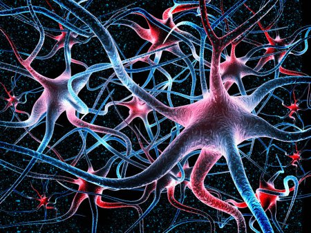 Téléchargez les photos : Réseau neuronal dans le cerveau. système nerveux, neurones. 3d rendu - en image libre de droit