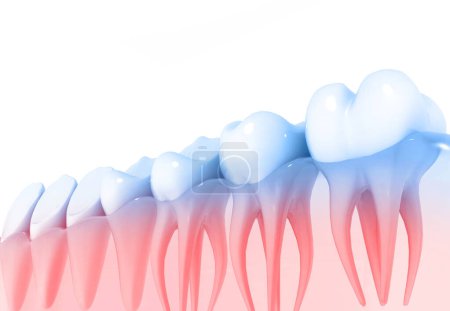 Téléchargez les photos : Anatomie des dents. 3d rendu - en image libre de droit