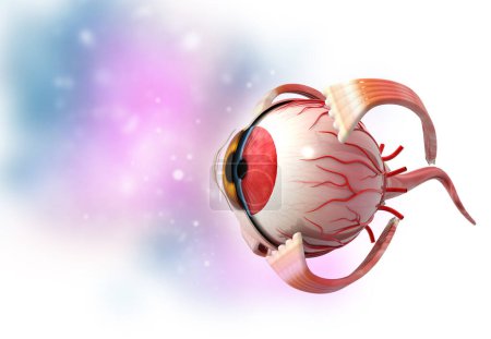 Téléchargez les photos : Anatomie oculaire humaine 3D arrière-plan médical. Illustration 3d - en image libre de droit