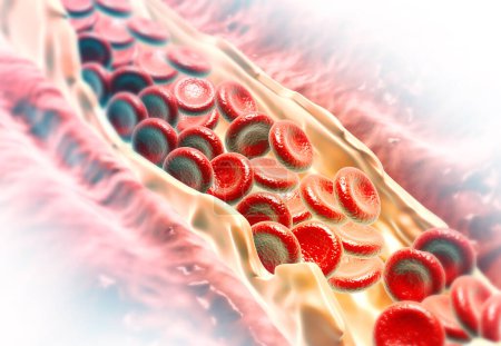 Photo for Blood cells moving through blood vessel. 3d illustration - Royalty Free Image