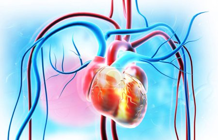 Téléchargez les photos : Vaisseaux sanguins de coeur humain sur fond médical. Illustration 3d - en image libre de droit