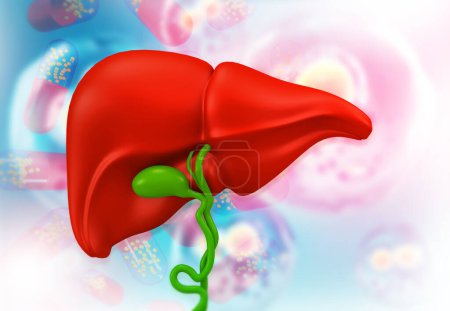 Ilustración 3d del fondo médico abstracto con el hígado sano