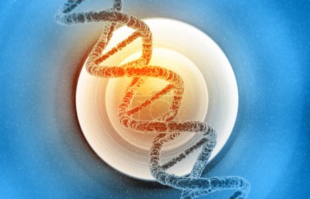 Foto de Moléculas de ADN en el fondo médico. ilustración 3d - Imagen libre de derechos