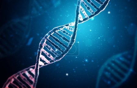 Foto de Estructura del ADN en el fondo científico. ilustración 3d - Imagen libre de derechos