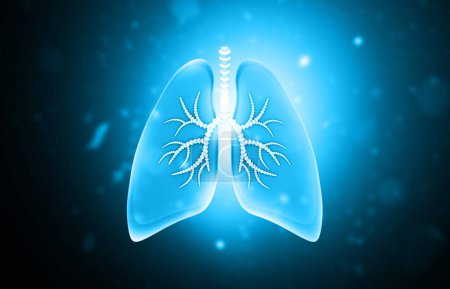 Photo for Human lungs on abstract science background. 3d illustration - Royalty Free Image