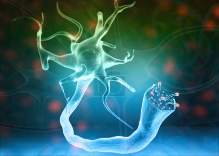 Foto de Neuronas y sistema nervioso en el fondo de la ciencia. ilustración 3d - Imagen libre de derechos
