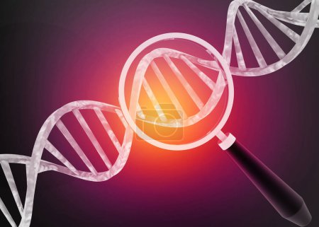 Foto de Cadena de ADN con lupa, análisis de ADN. 3d renderizar - Imagen libre de derechos