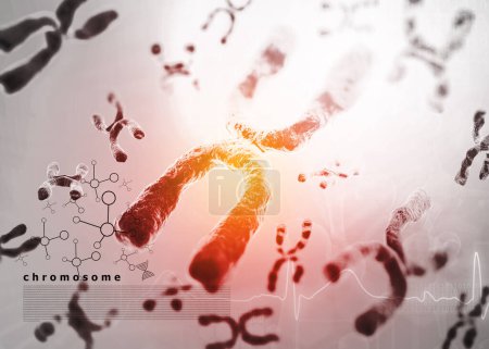 Photo for XY chromosomes background. 3d illustration - Royalty Free Image