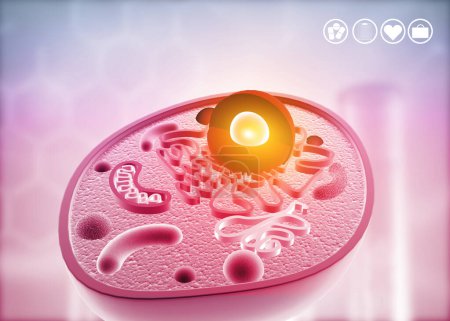 Photo for Anatomy of a cell on science background. 3d illustration - Royalty Free Image