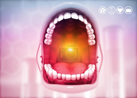 Photo for Teeth anatomy on medical background. 3d illustration - Royalty Free Image