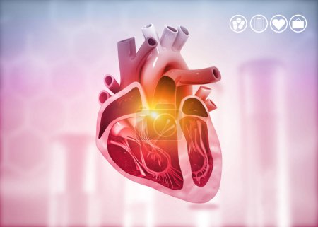 Téléchargez les photos : Coupe transversale du diagramme cardiaque humain sur fond médical. Illustration 3d - en image libre de droit