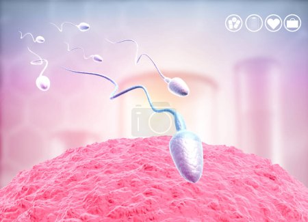 Téléchargez les photos : Œufs et spermatozoïdes humains, sperme nageant jusqu'aux œufs. Illustration 3d - en image libre de droit