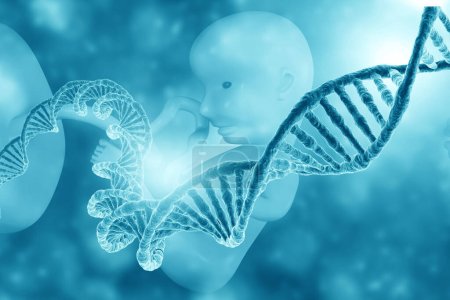 Téléchargez les photos : Fœtus ADN. Une formation médicale. Illustration 3d - en image libre de droit