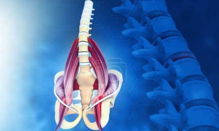 Photo for 3d illustration of hip skeleton with spine - Royalty Free Image