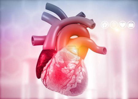 Téléchargez les photos : Anatomie du cœur humain sur fond médical. 3d rendu - en image libre de droit