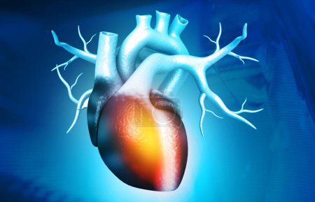Téléchargez les photos : Anatomie du cœur humain sur fond de science. 3d rendu - en image libre de droit