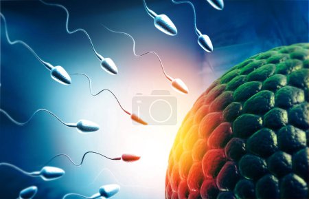 Foto de Huevos humanos y esperma, espermatozoides nadando hasta los óvulos. ilustración 3d - Imagen libre de derechos
