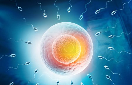 Foto de Huevos humanos y esperma, espermatozoides nadando hasta los óvulos. ilustración 3d - Imagen libre de derechos