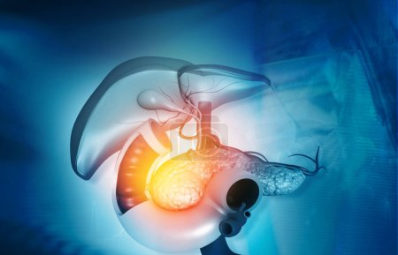 Foto de Anantomía de hígado estómago páncreas vesícula biliar y bazo en el fondo médico. ilustración 3d - Imagen libre de derechos