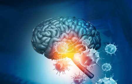Foto de Virus atacando un cerebro humano. ilustración 3d - Imagen libre de derechos