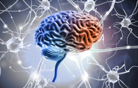 Téléchargez les photos : Cerveau humain avec des cellules nerveuses. Illustration 3d - en image libre de droit