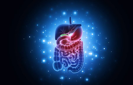 Téléchargez les photos : La science du système digestif humain fond. Illustration 3d - en image libre de droit