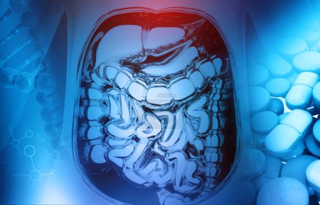 Téléchargez les photos : Anatomie du système digestif humain avec la médecine. Illustration 3d - en image libre de droit