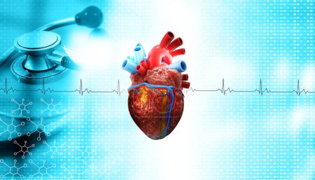 Téléchargez les photos : Anatomie cardiaque humaine sur fond médical. coeur avec stéthoscope. Illustration 3d - en image libre de droit