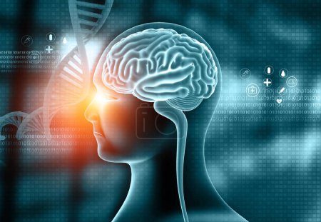 Foto de Cabeza humana y cerebro con anatomía del ADN en base científica abstracta. ilustración 3d - Imagen libre de derechos