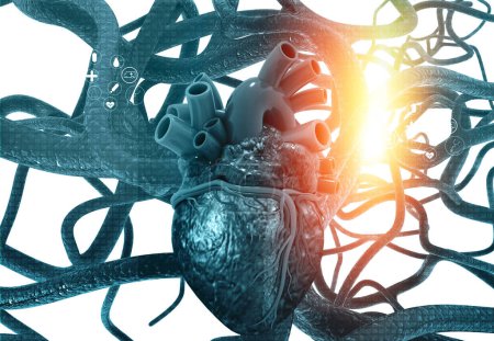 Téléchargez les photos : Anatomie du cœur humain et des veines sur fond scientifique bleu. Illustration 3d - en image libre de droit
