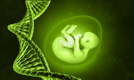 Photo for Human fetus with DNA strand. 3d illustration - Royalty Free Image