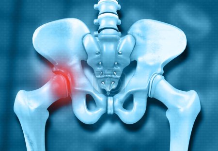 Téléchargez les photos : Os de hanche humaine ou douleur pelvienne. Illustration 3d - en image libre de droit
