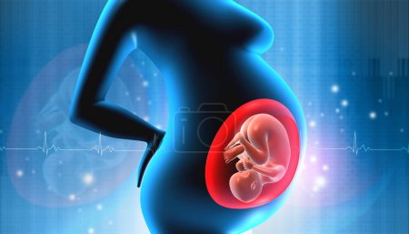 Photo for Pregnant woman with fetus in womb. 3d illustration - Royalty Free Image