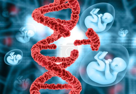 Foto de Hilo de ADN con feto. edición de genes cocnept.. antecedentes científicos. ilustración 3d - Imagen libre de derechos