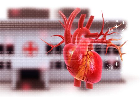 Photo for Human heart under hospital background. 3d illustration - Royalty Free Image