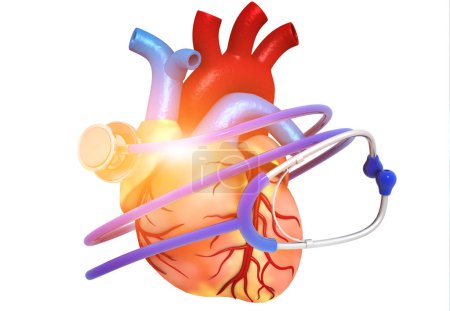 Téléchargez les photos : Coeur humain avec stéthoscope sur fond blanc. Soins cardiaques et concept de protection. Illustration 3d - en image libre de droit
