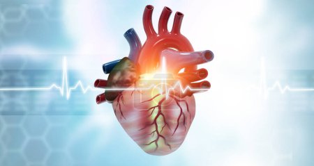 Téléchargez les photos : Anatomie du cœur humain sur fond médical ecg. 3d rendu - en image libre de droit
