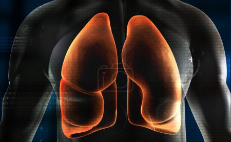 Téléchargez les photos : Corps humain avec système respiratoire, anatomie des poumons. Illustration 3d - en image libre de droit
