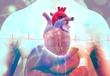 Téléchargez les photos : Coeur humain sur corps. Une formation médicale. Illustration 3d - en image libre de droit