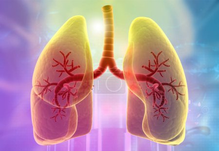 Foto de Anatomía de pulmones humanos. ilustración 3d - Imagen libre de derechos