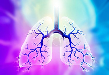 Foto de Anatomía de pulmones humanos.Antecedentes médicos. ilustración 3d - Imagen libre de derechos